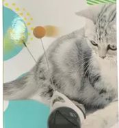 JUGUETE PARA GATO INTERACTIVO BALANCE