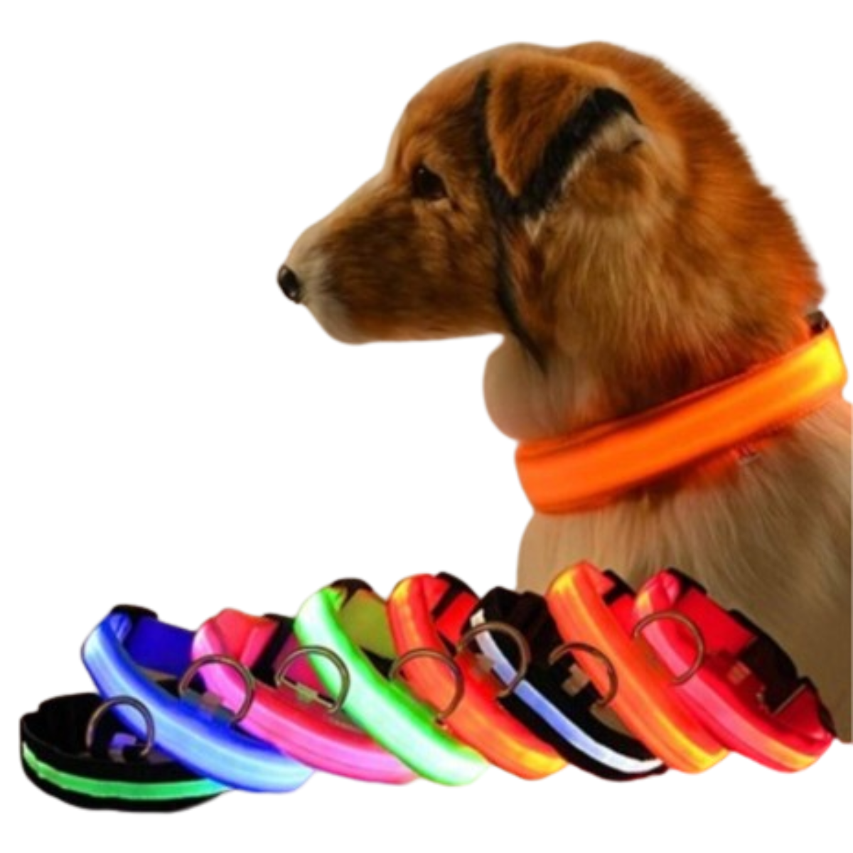 Collar Luminoso LED Recargable - Imagen 4