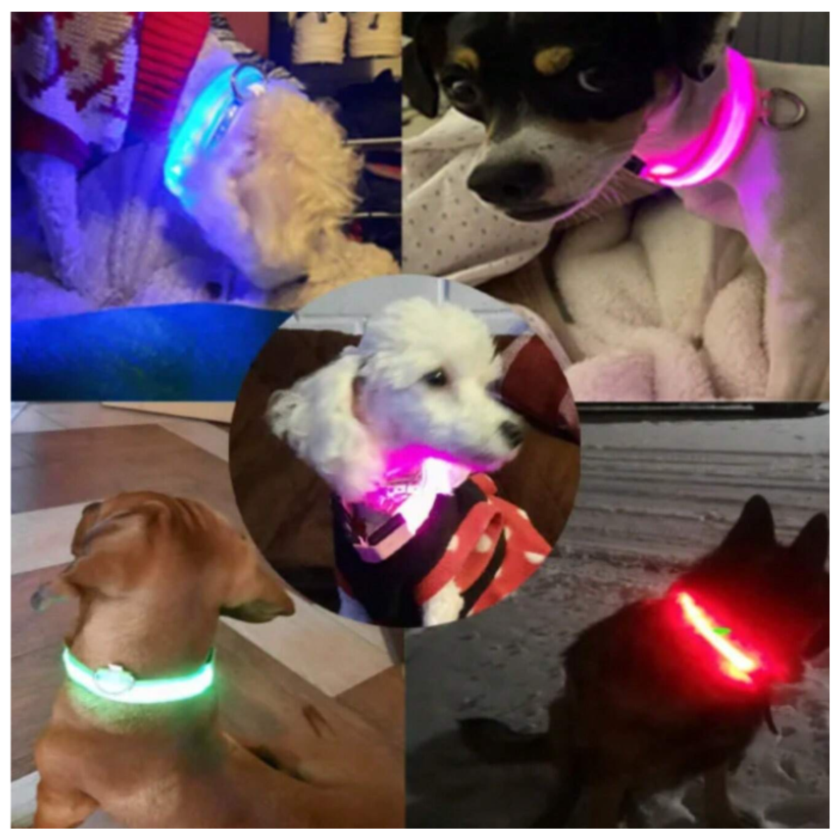 Collar Luminoso LED Recargable - Imagen 3