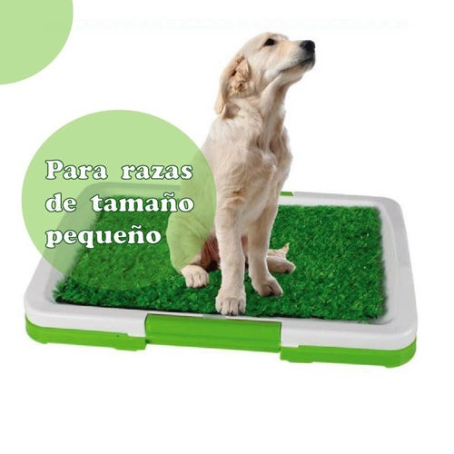 BAÑO ECOLÓGICO Y PORTÁTIL PARA PERROS - Imagen 5