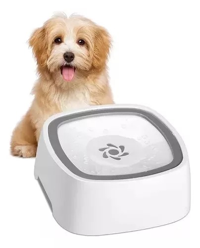 Bowl antisplash para tus mascotas - Imagen 2